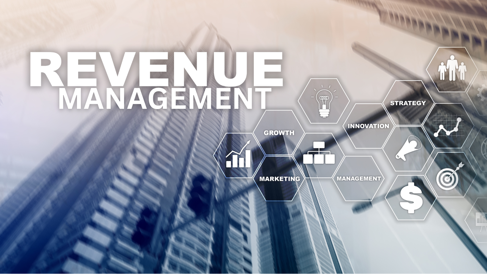 Revenue Management - Digi Optimo Solutions